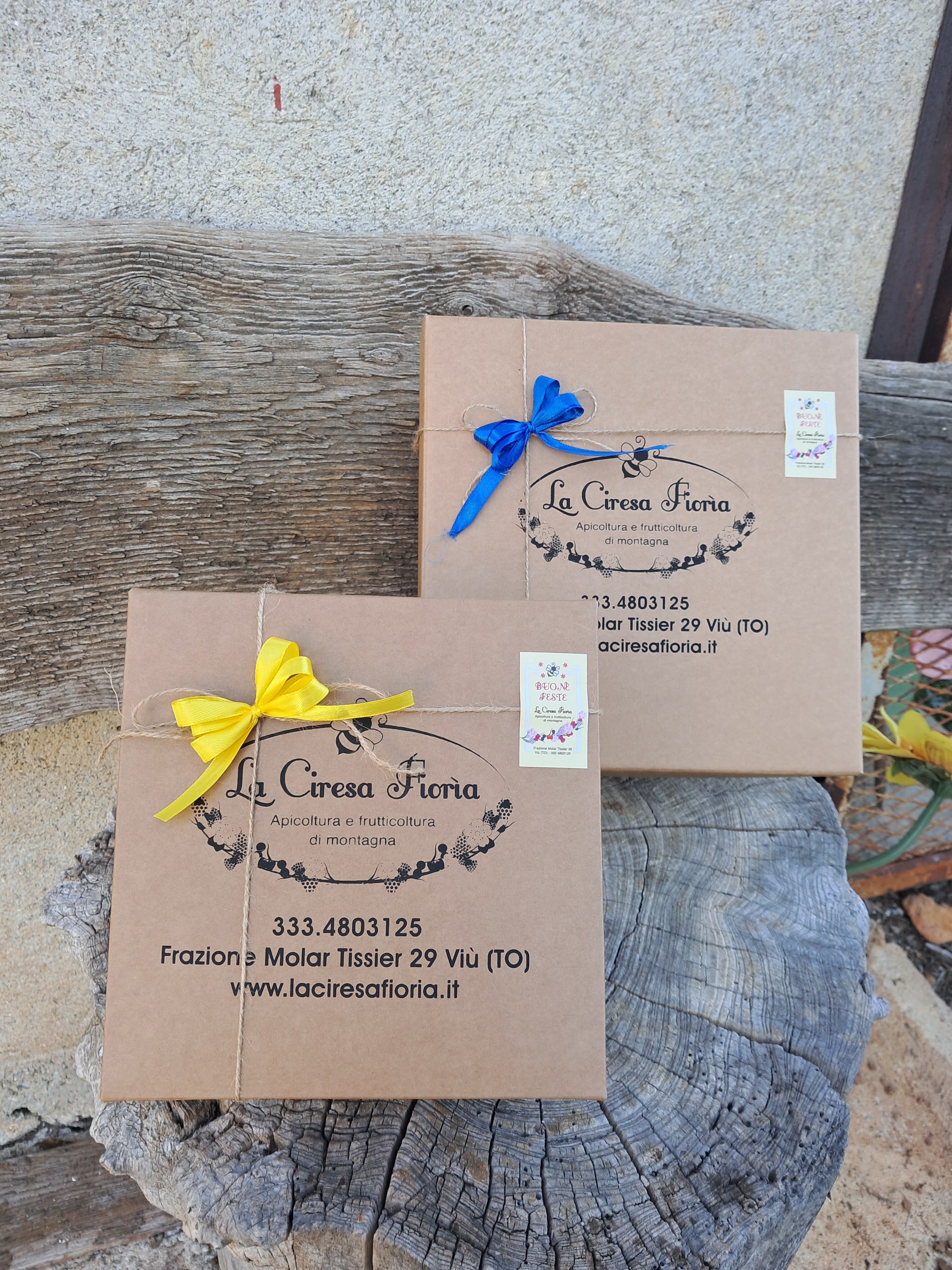 BOX "grosa"